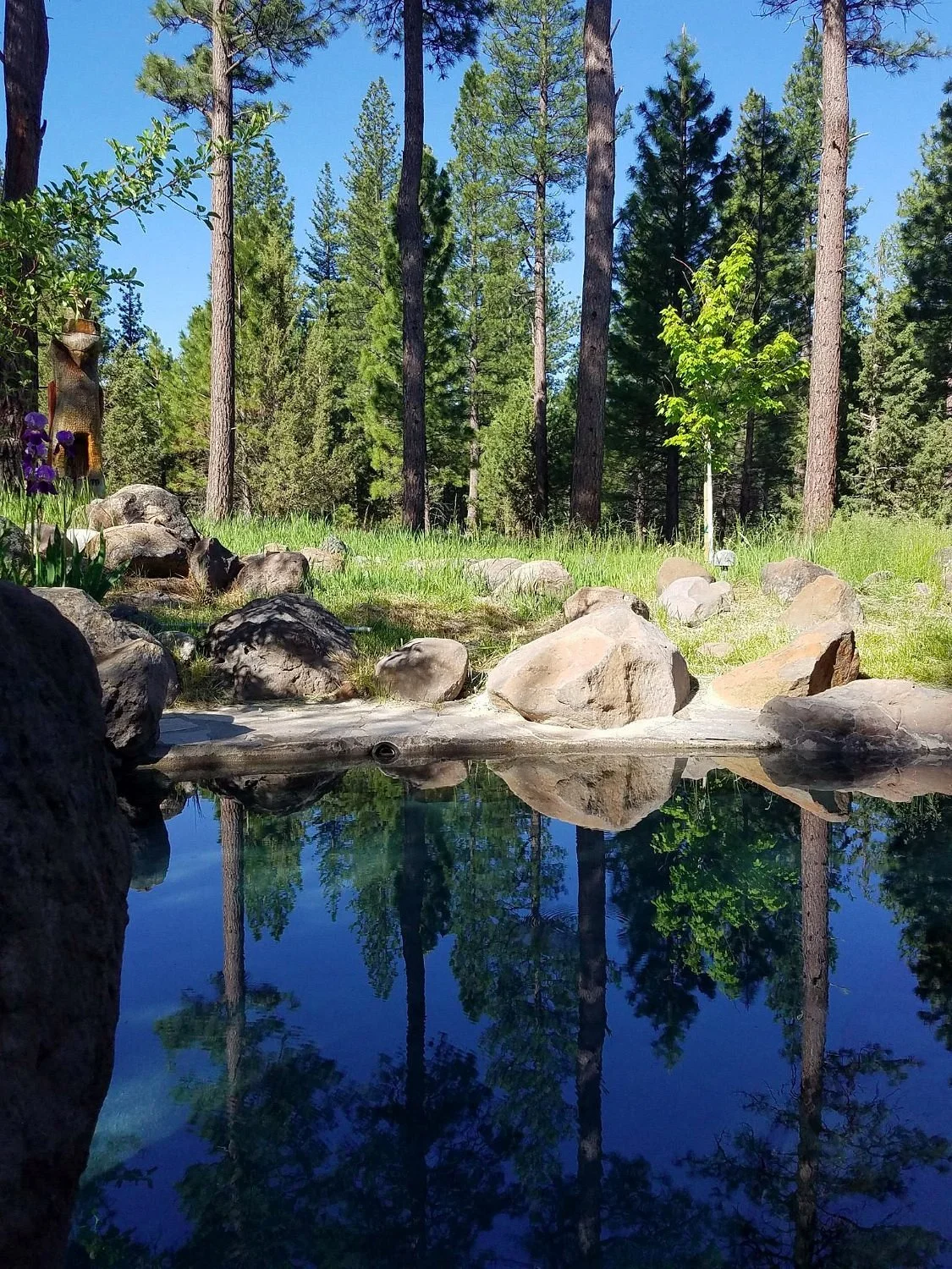Sierra Hot Springs