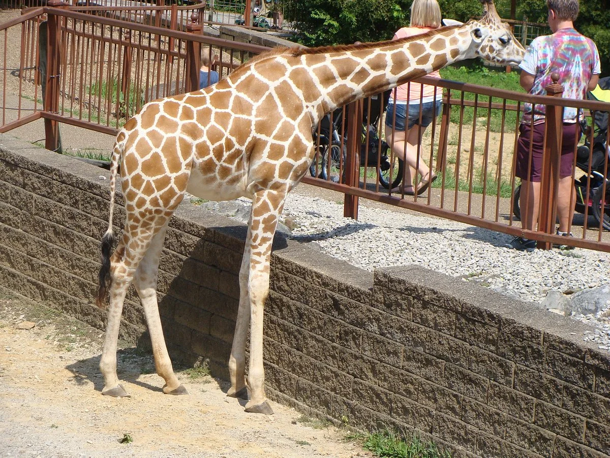 Mesker Park Zoo & Botanic Garden