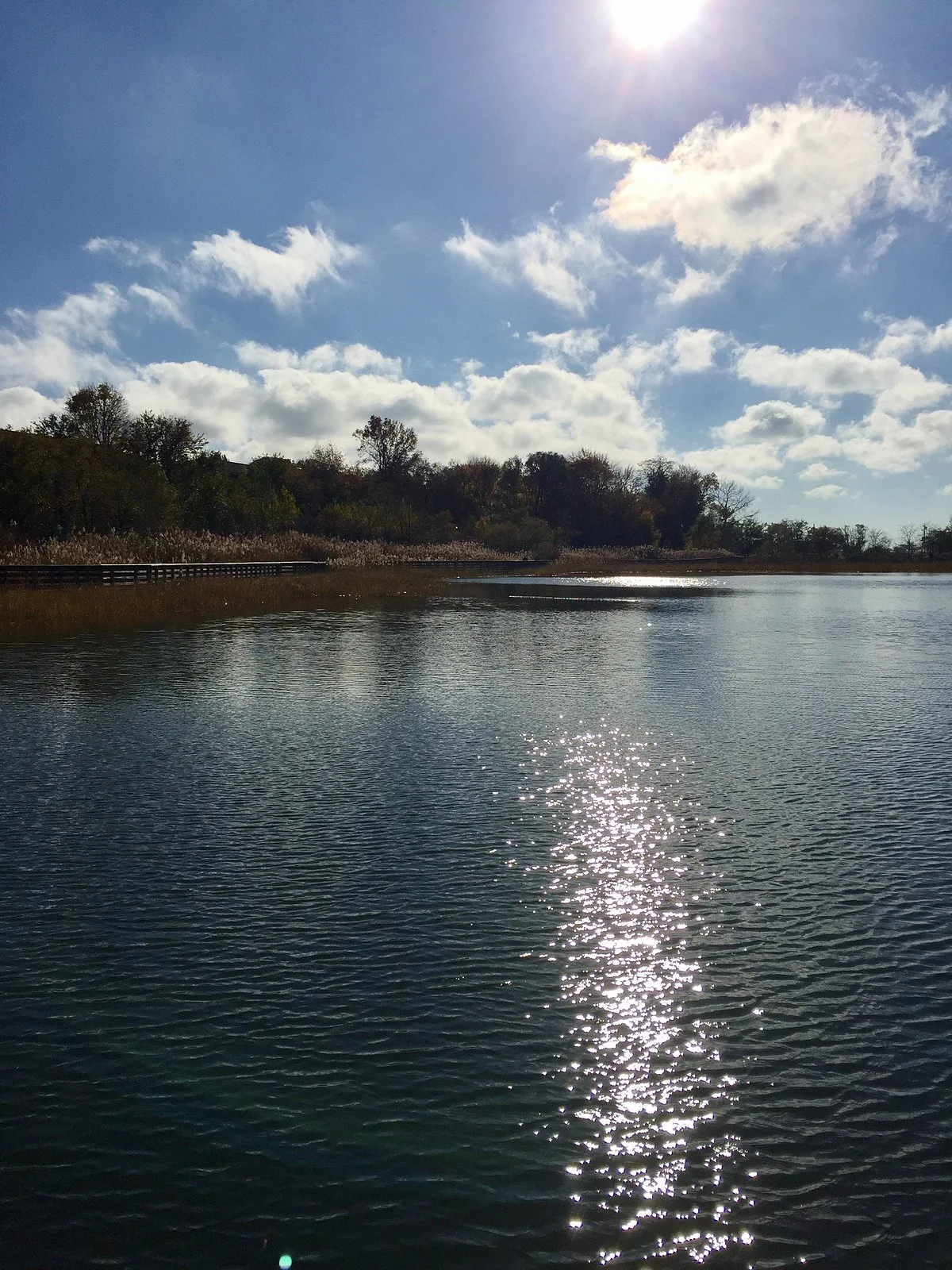 Bayonne Park