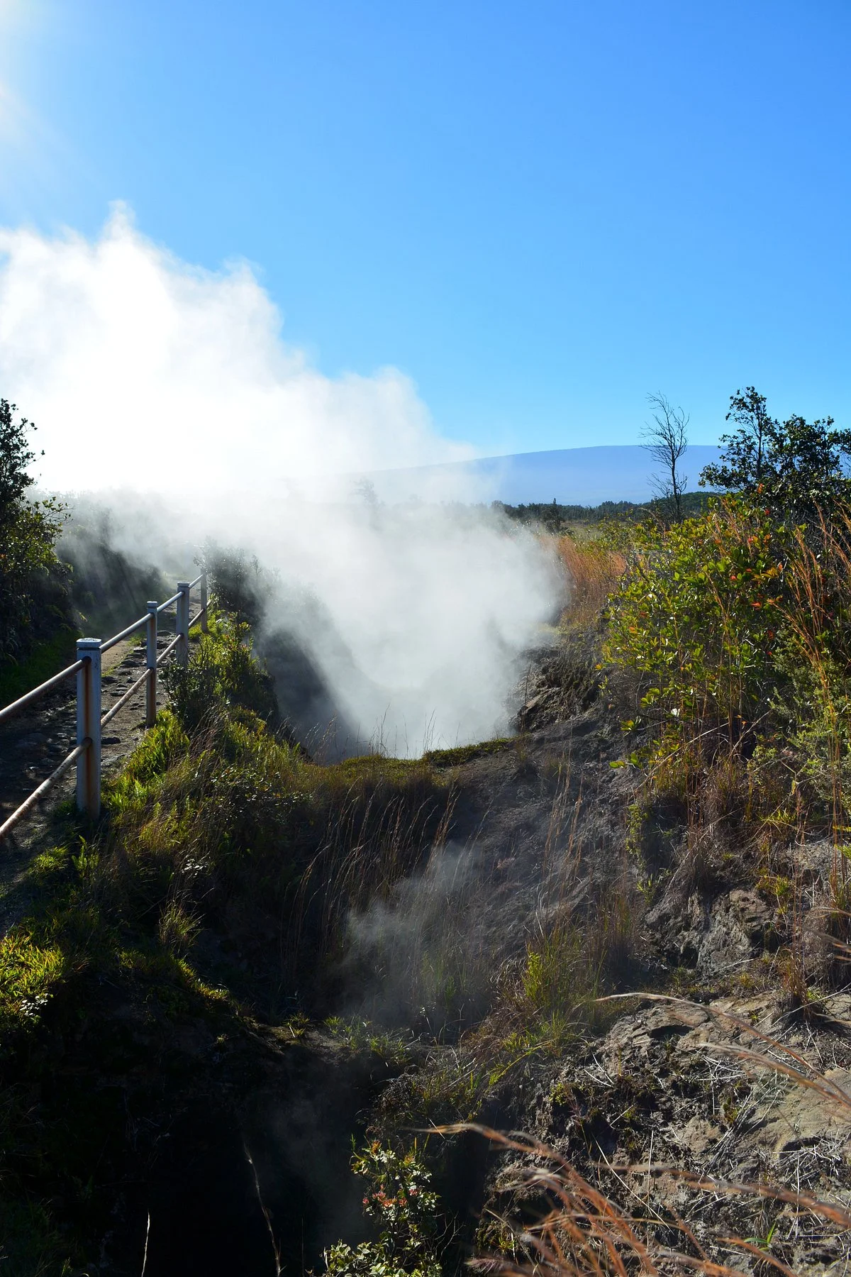 Steam Vents
