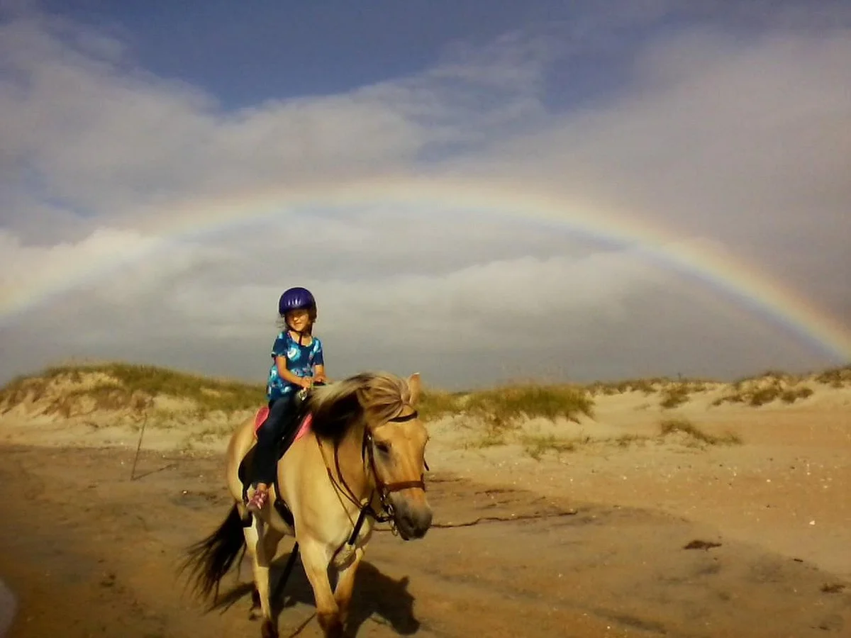 Hatteras Island Horseback Riding