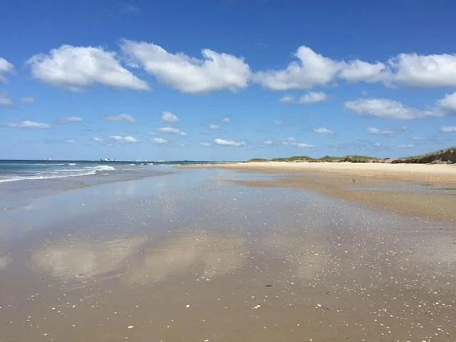 Shackleford Banks