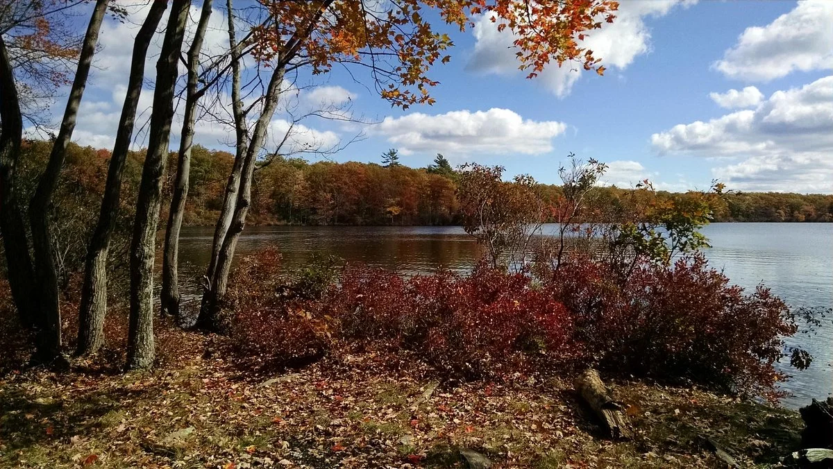 Promised Land State Park