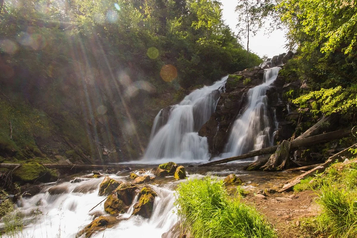Fairy Creek Falls