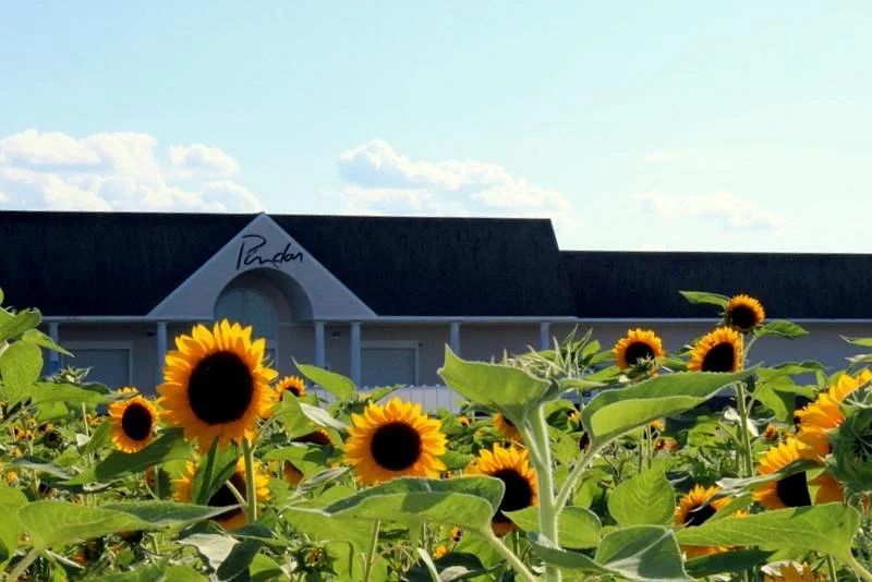 Pindar Vineyards