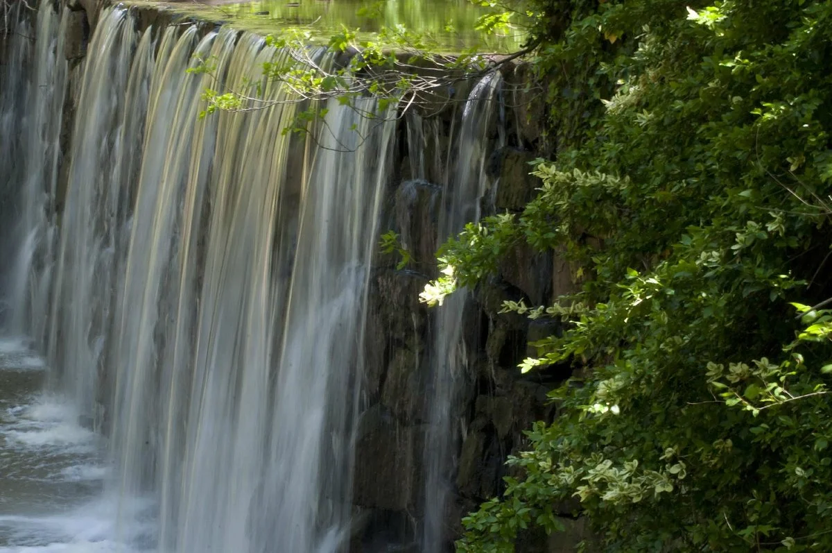 Cedarock Park