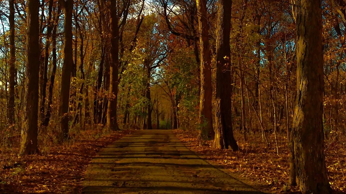 Pilcher Park
