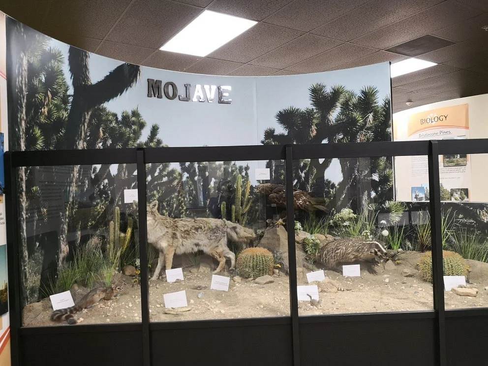 Victor Valley Museum