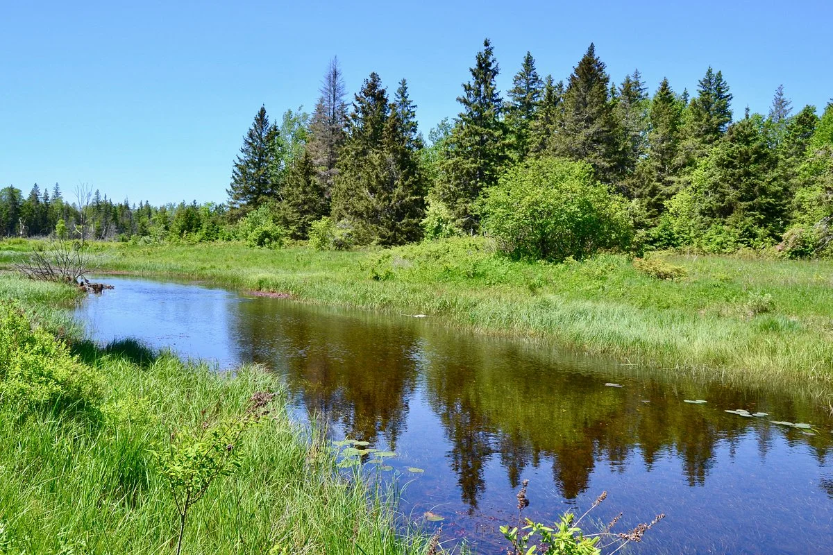 Carden Plain
