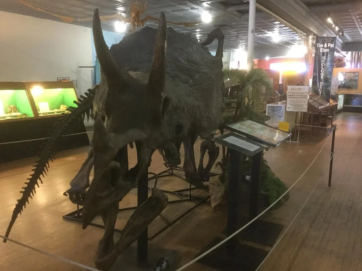Buena Vista Museum of Natural History