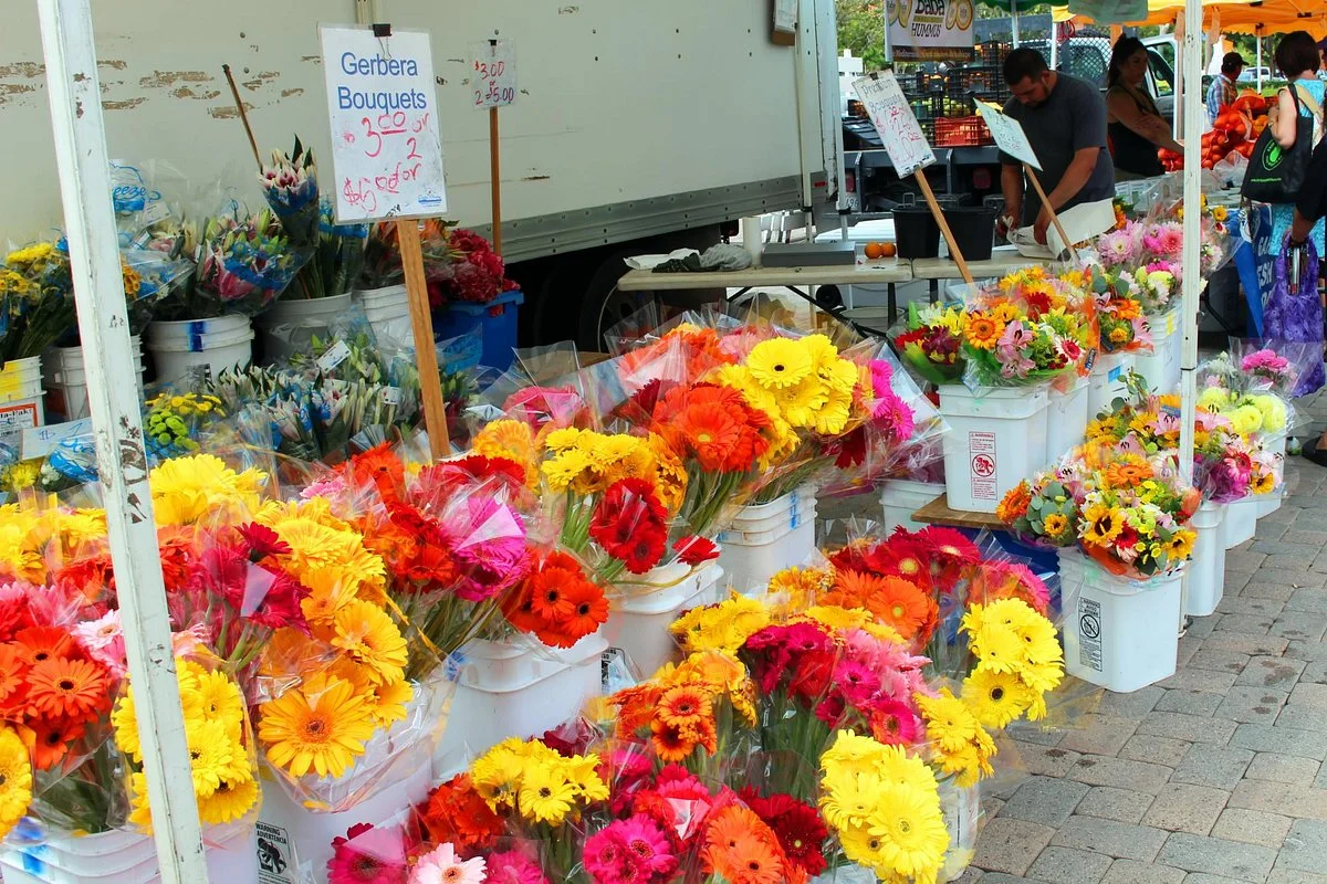 Santa Barbara Certified Farmers Market