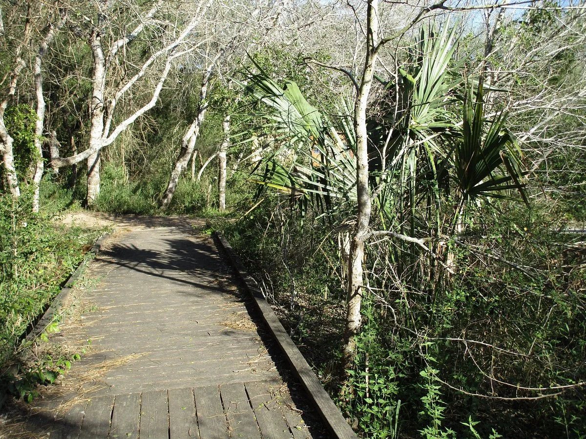 Resaca de la Palma State Park