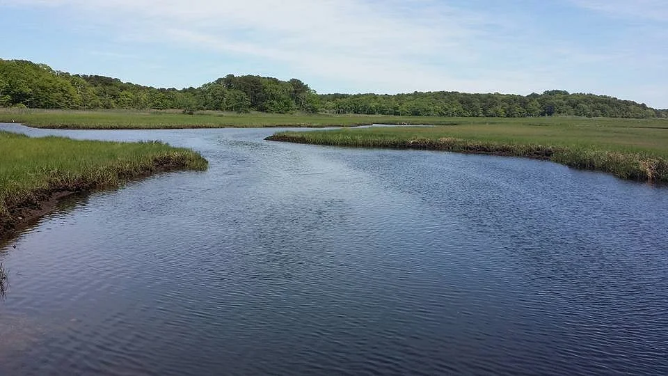 Bell's Neck Conservation Lands