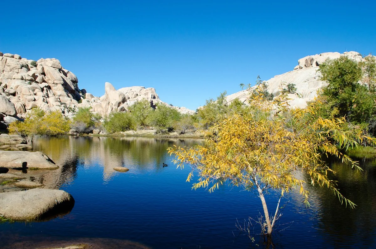 Barker Dam Trail