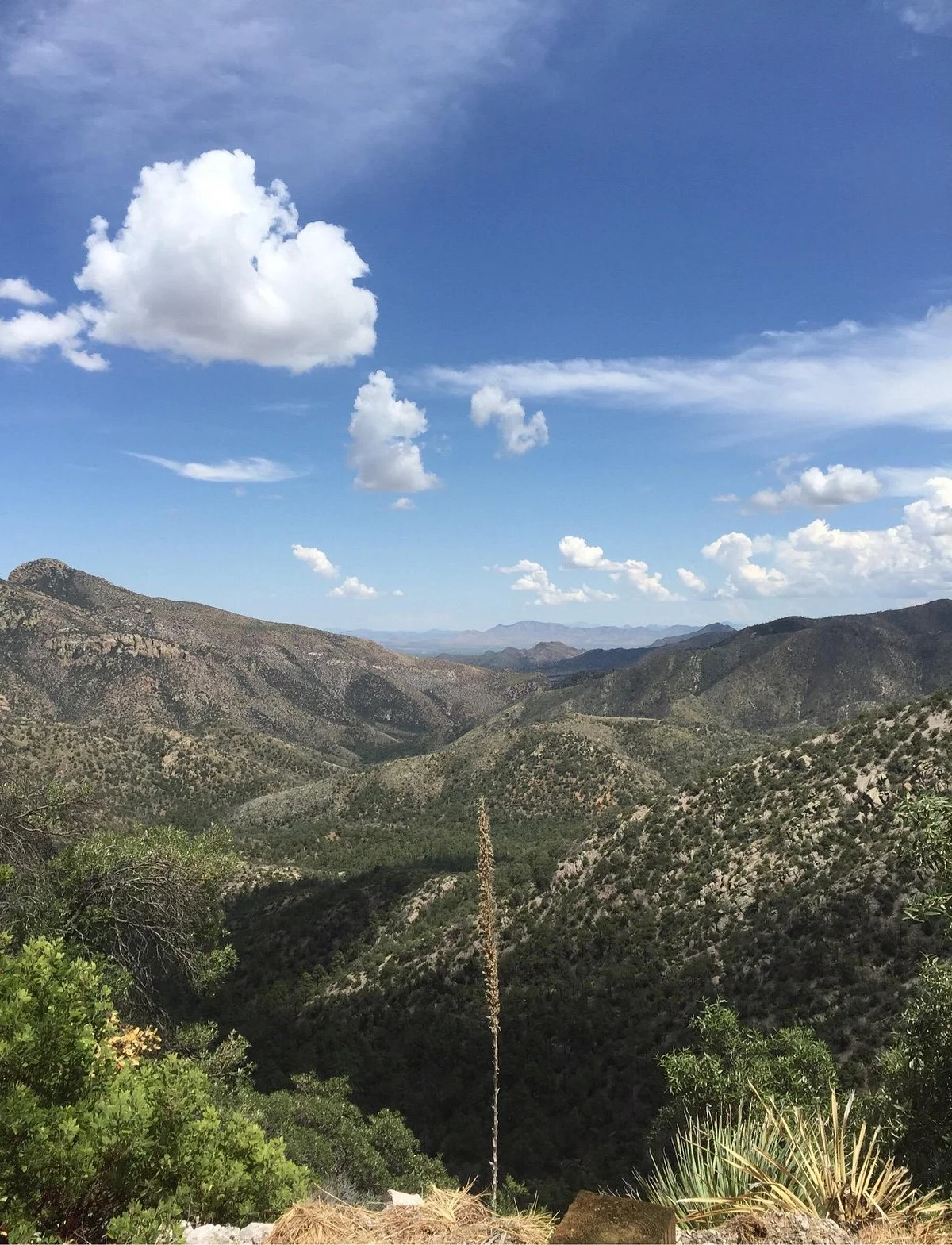 Chiricahua Mountains