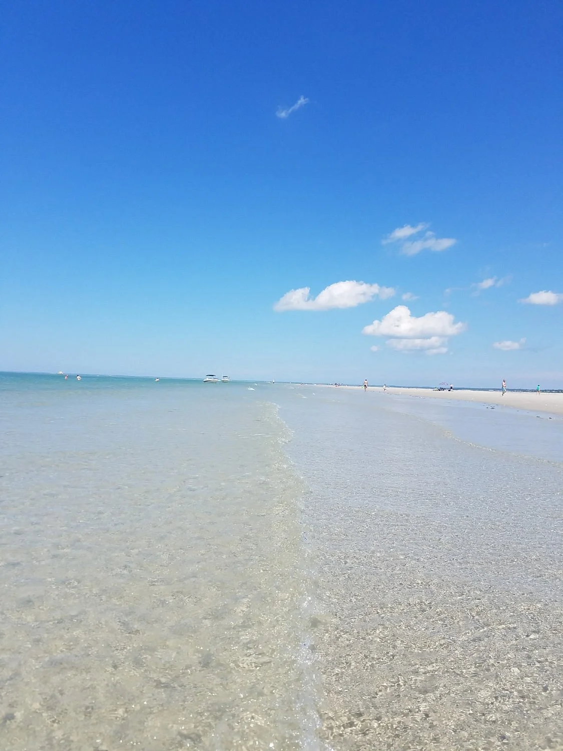 Paine's Creek Beach