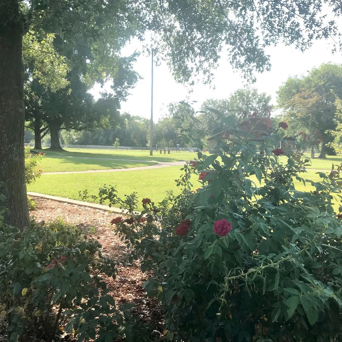 Drakes Creek Park
