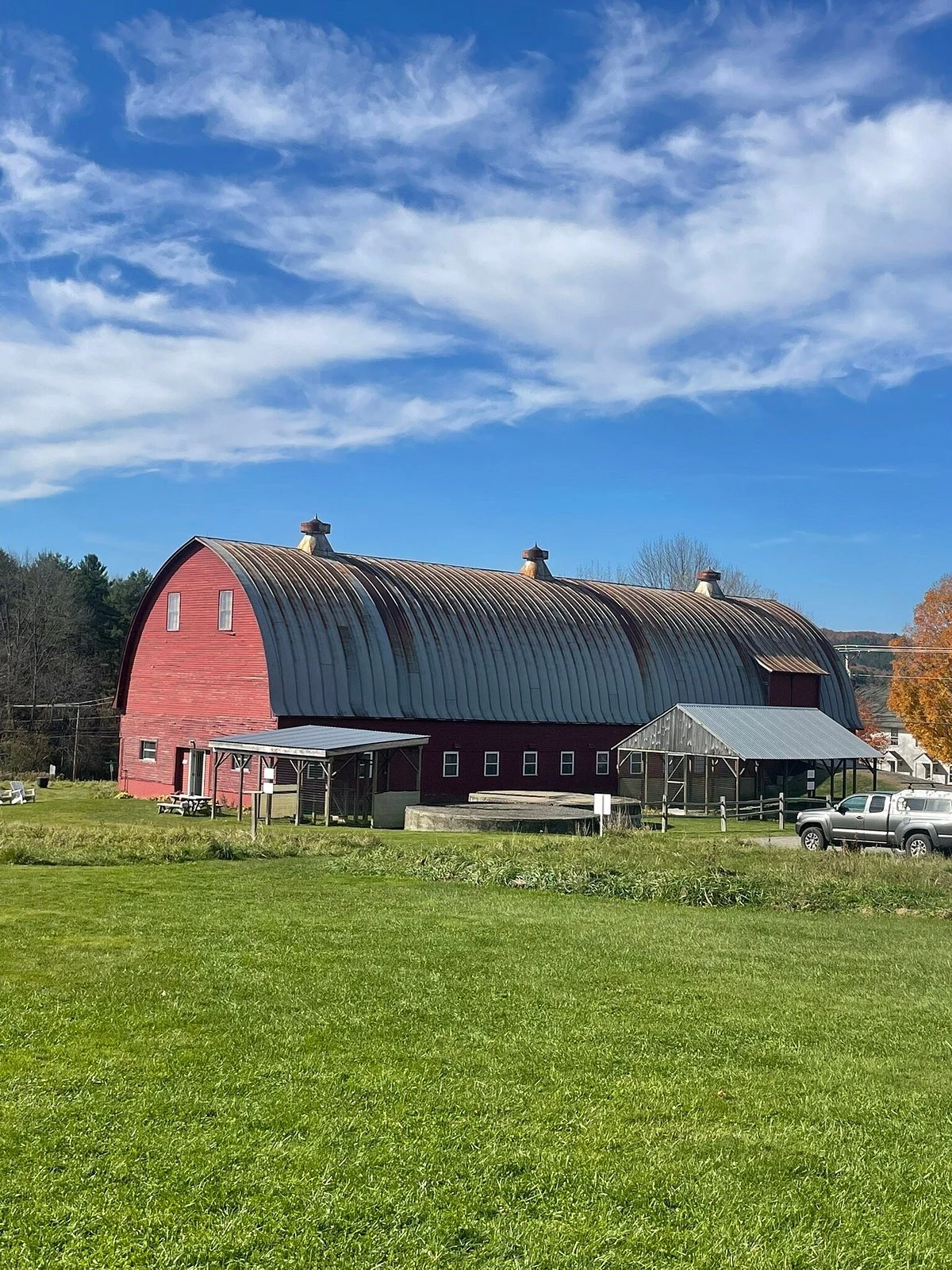 New England Falconry