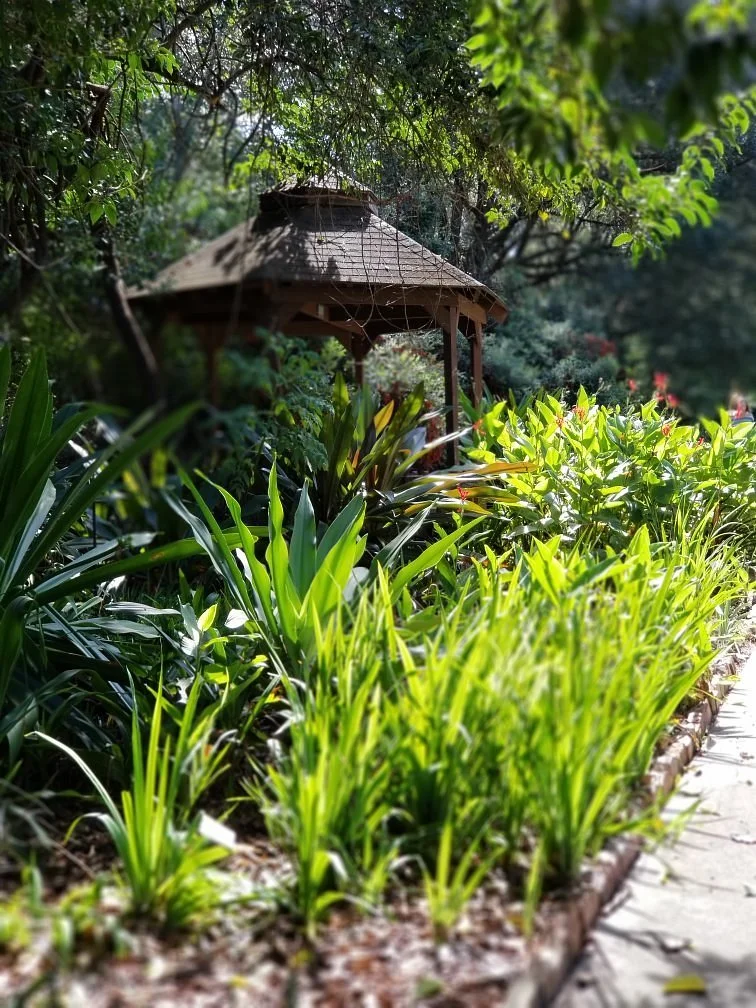 Kanapaha Botanical Gardens
