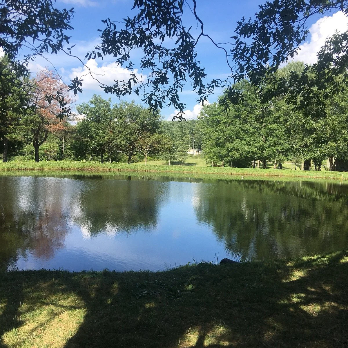 Brant's Apple Orchard