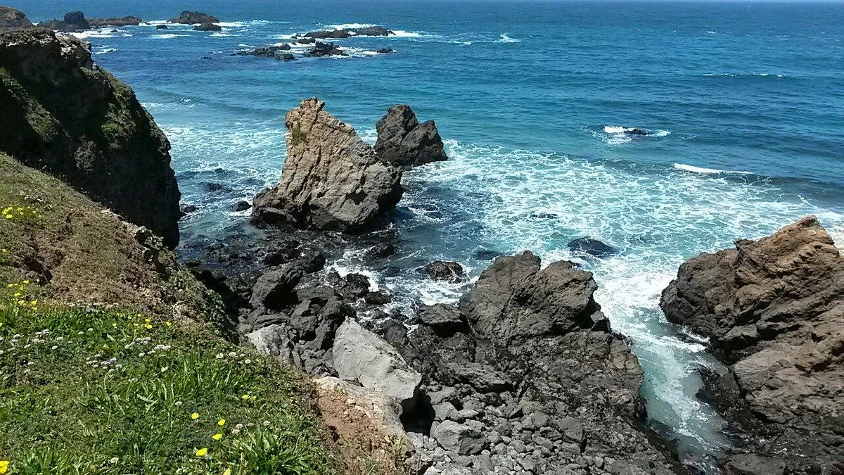 Jughandle State Reserve