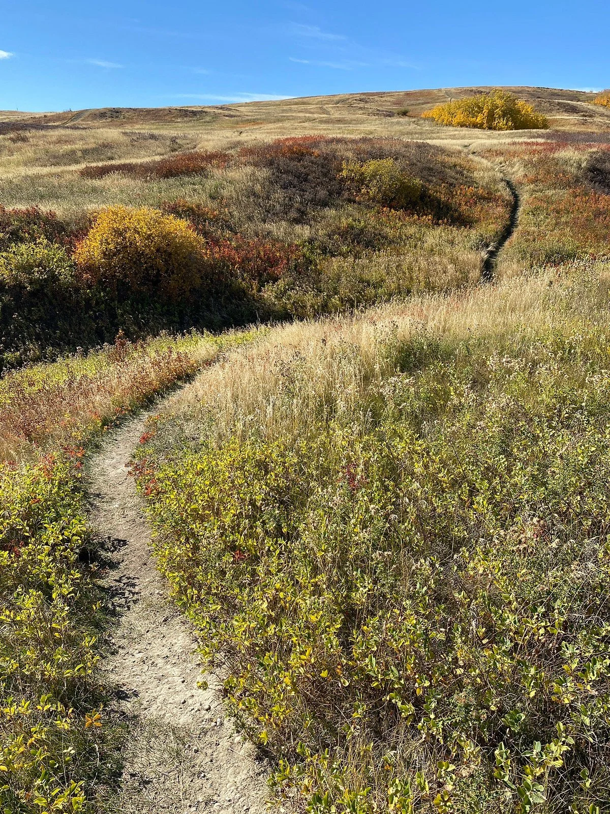 Nose Hill Park