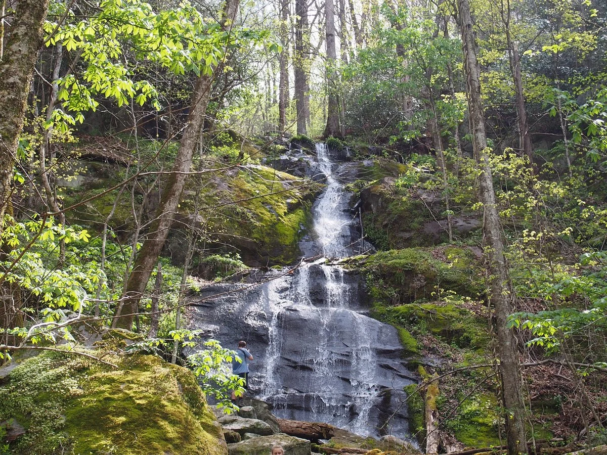 Porters Creek Trail