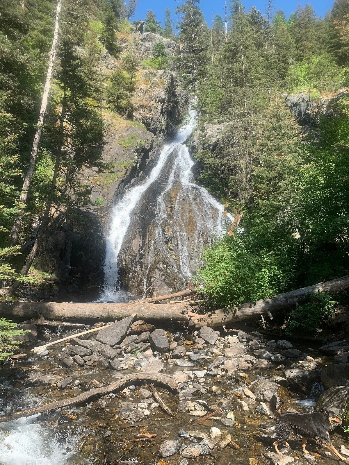 Pine Creek Trail