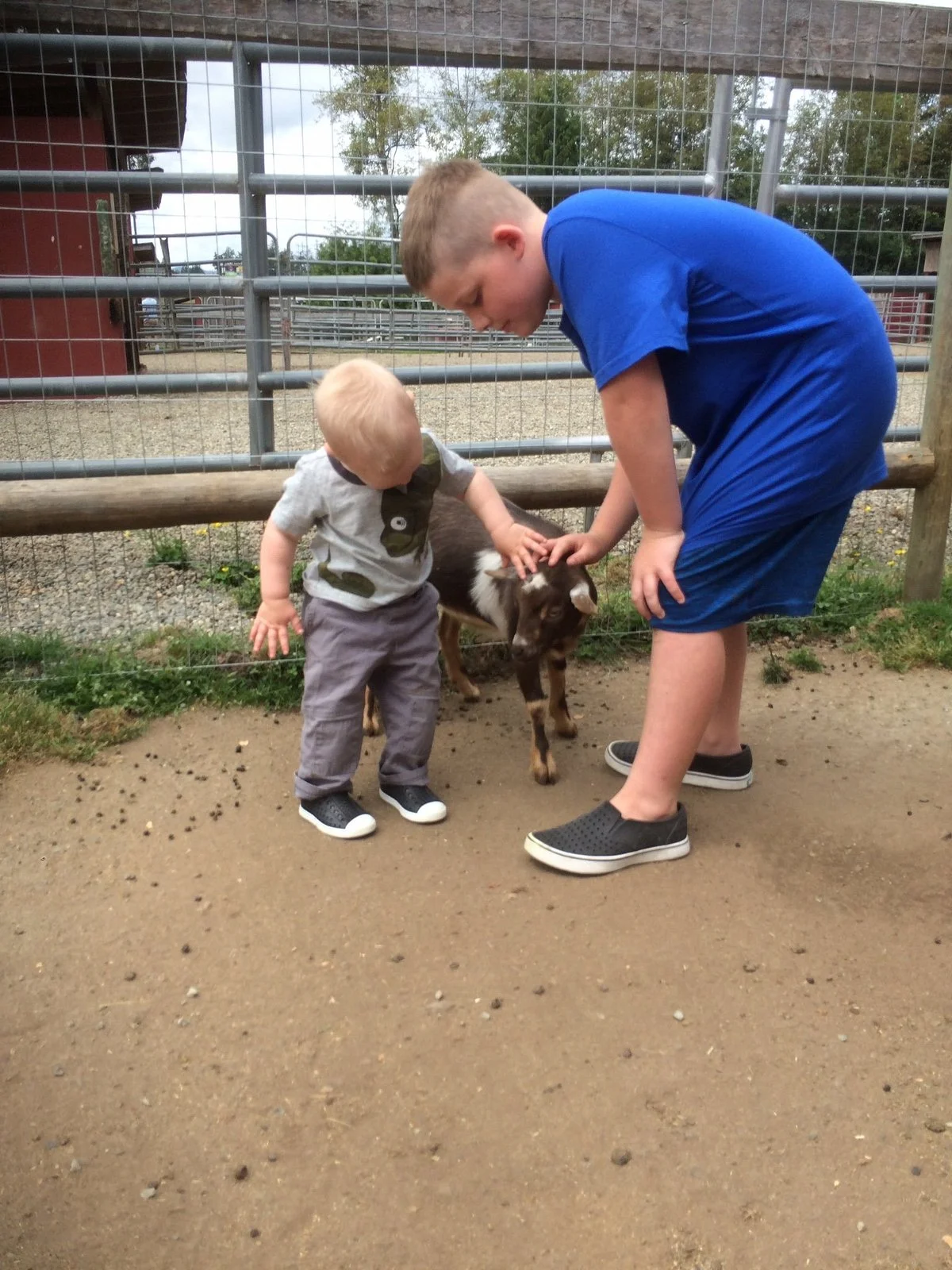 Hamilton Hobby Farm