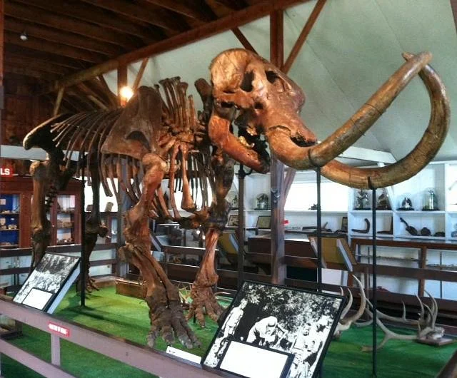 Museum Village Inc