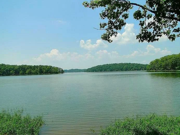 Uwharrie National Forest