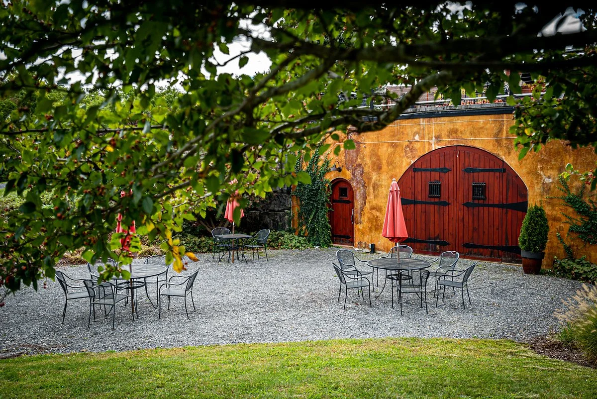 Anyela's Vineyards