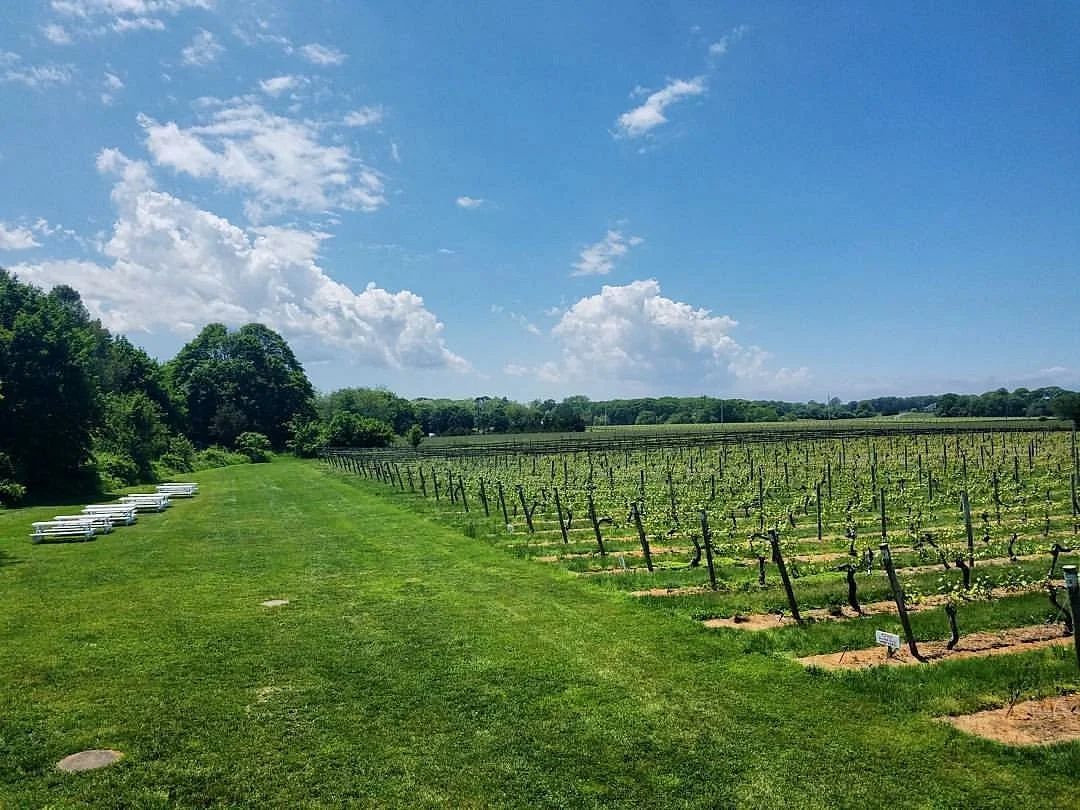 Bedell Cellars
