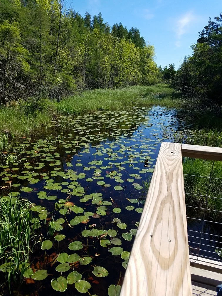 The Ridges Sanctuary