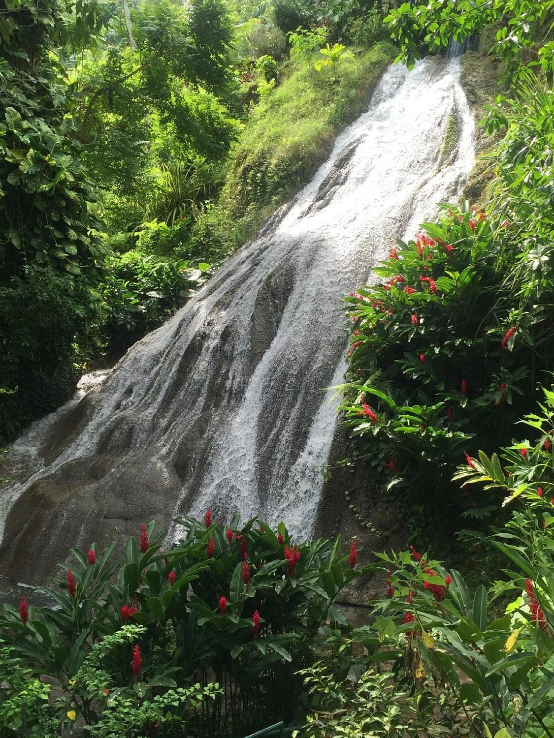 Shaw Park Gardens & Waterfalls