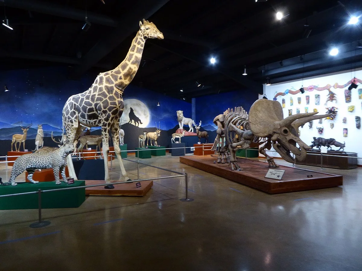 Bandera Natural History Museum