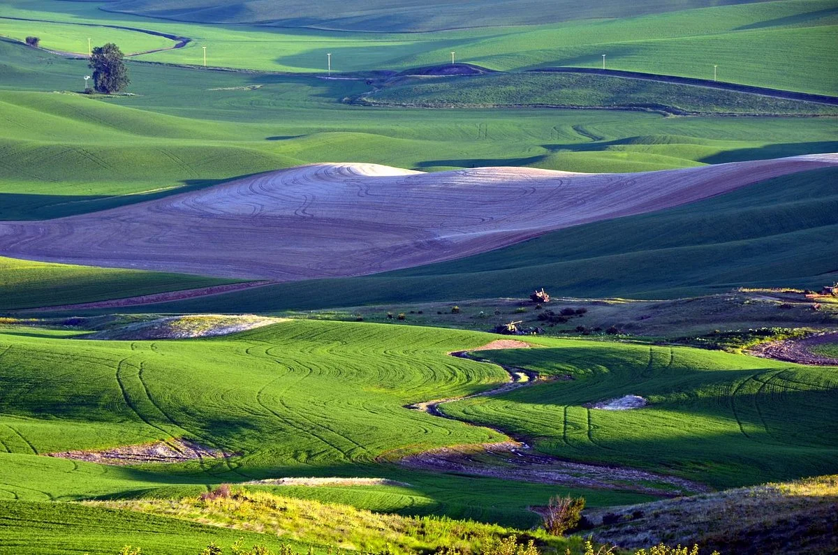 Steptoe Butte State Park