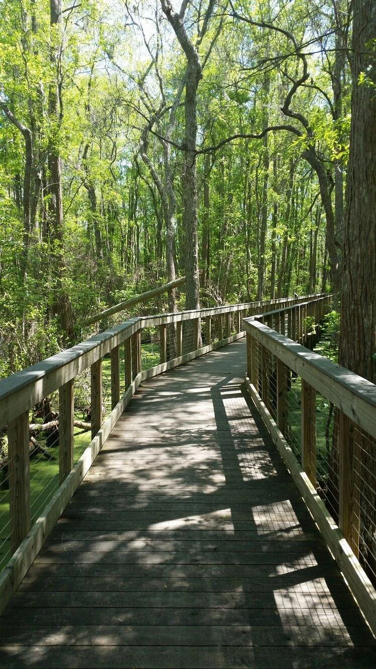 Conservation Park