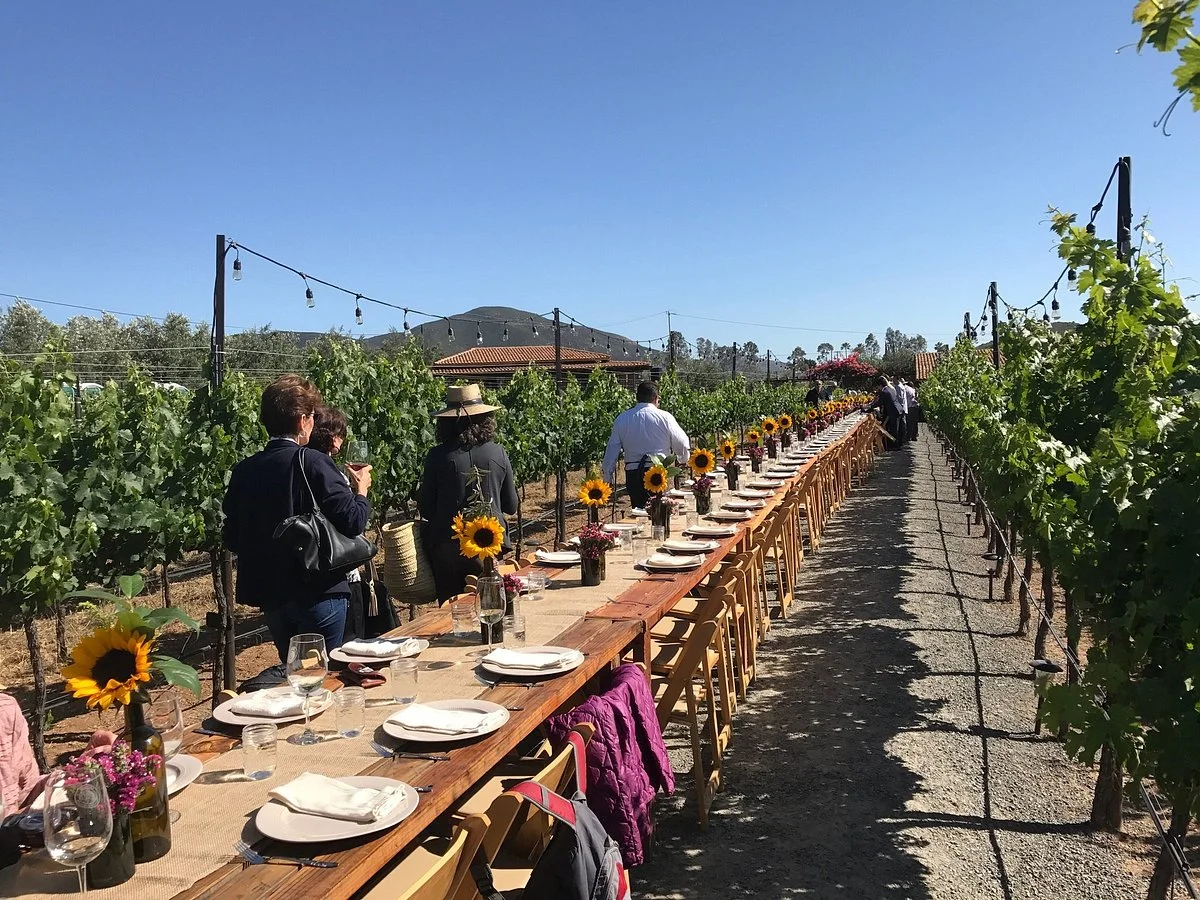 Lechuza Vineyard