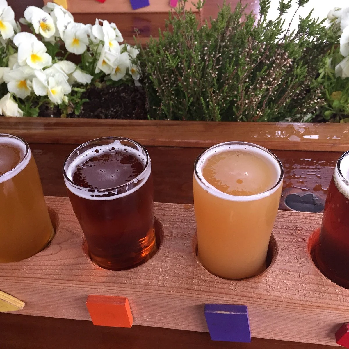 Coast Mountain Brewing