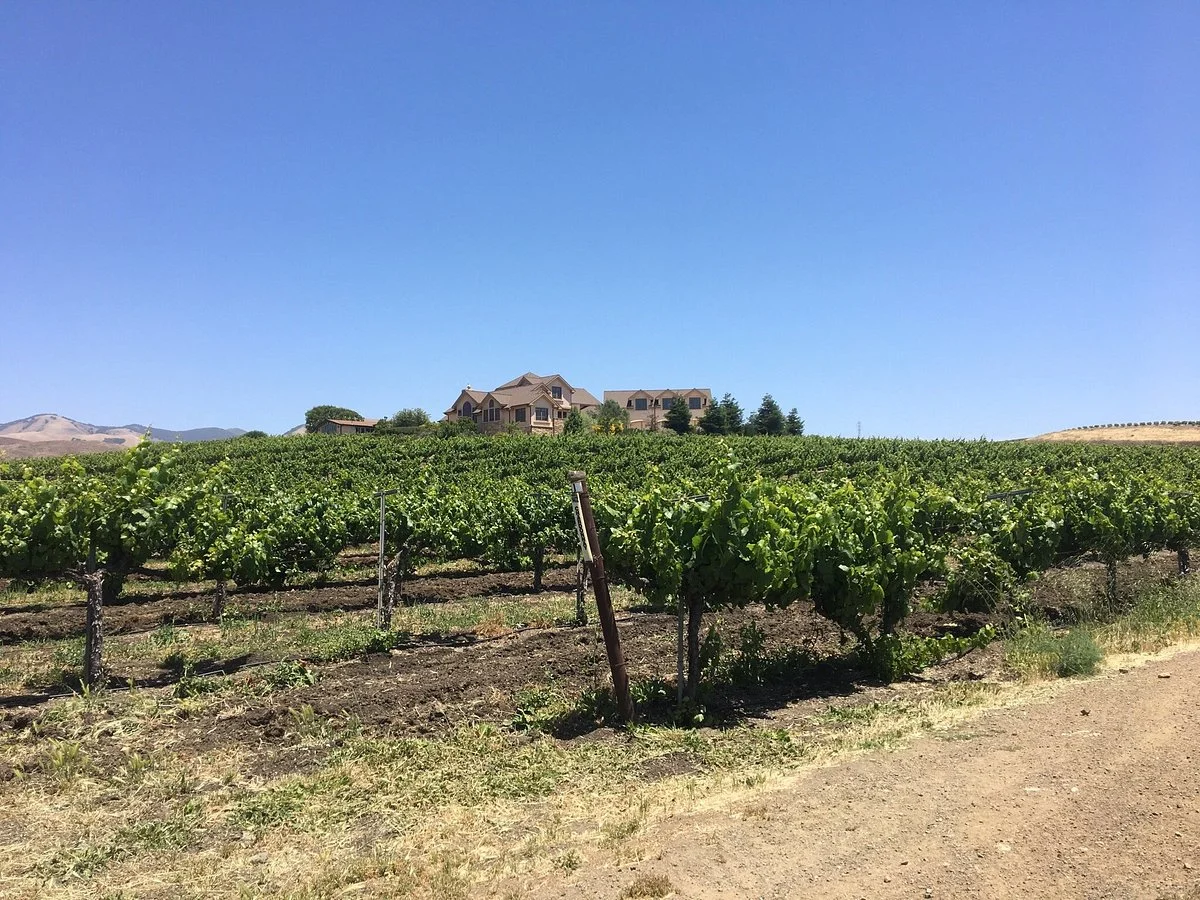 Wolff Vineyards