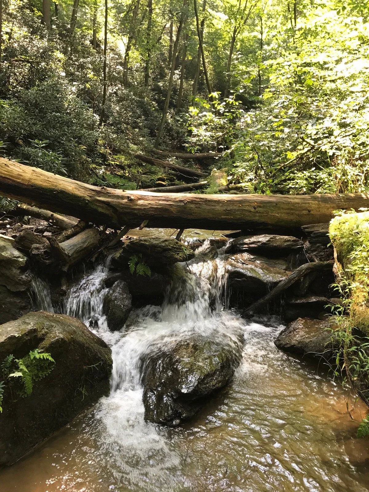 Holtwood Dam