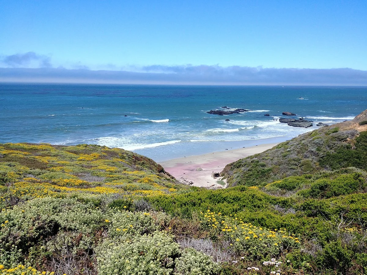 Andrew Molera State Park