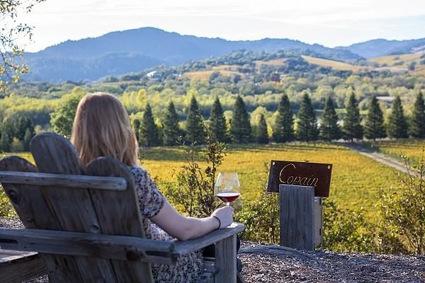 Copain Wines