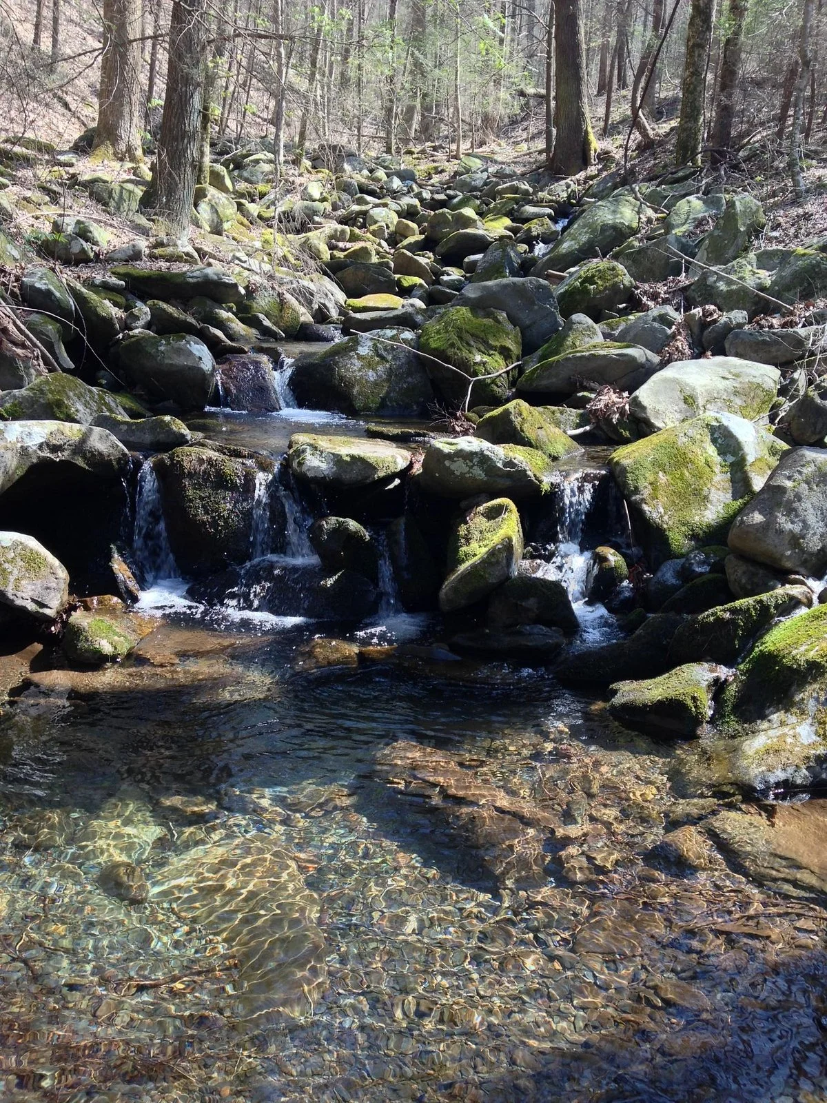 Big Frog Wilderness