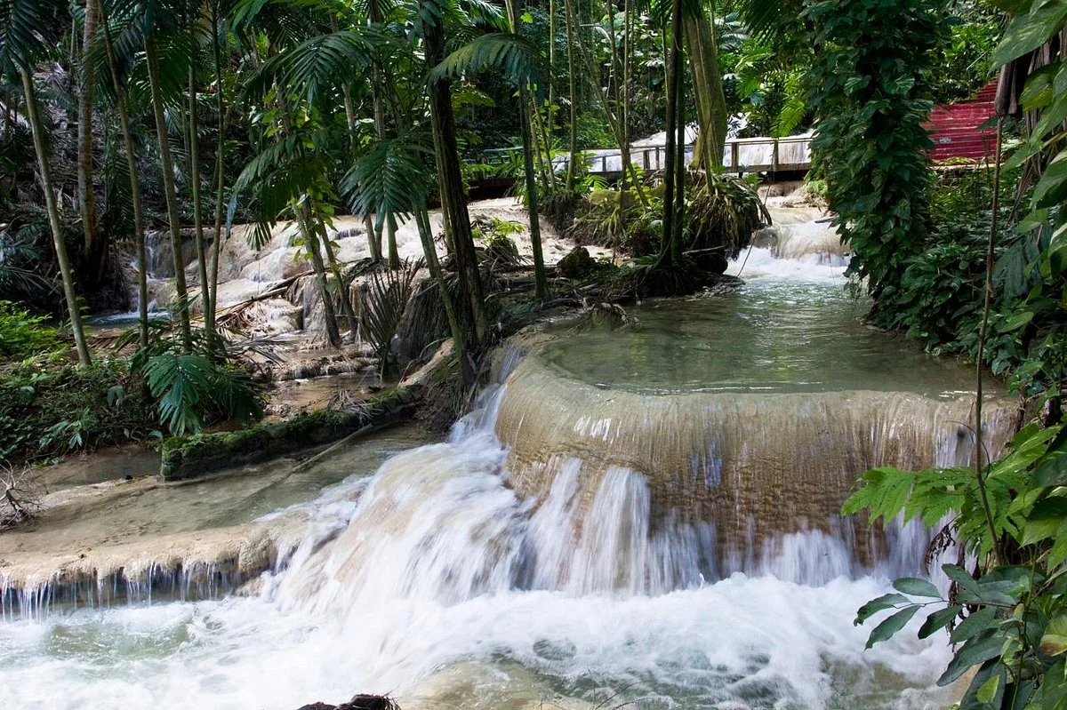 Turtle River Falls and Gardens