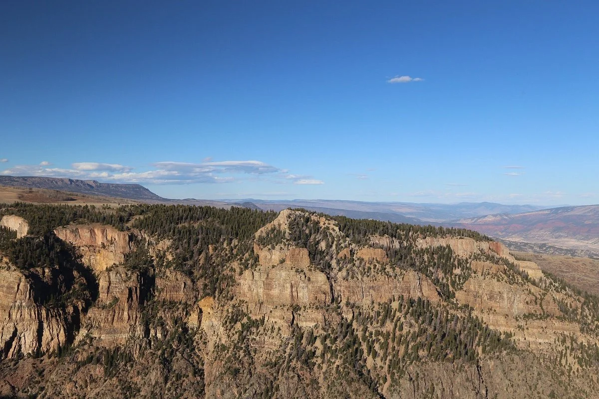 Routt National Forest