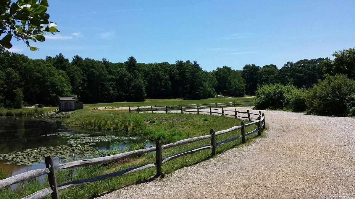 The Nature Trail And Cranberry Bog