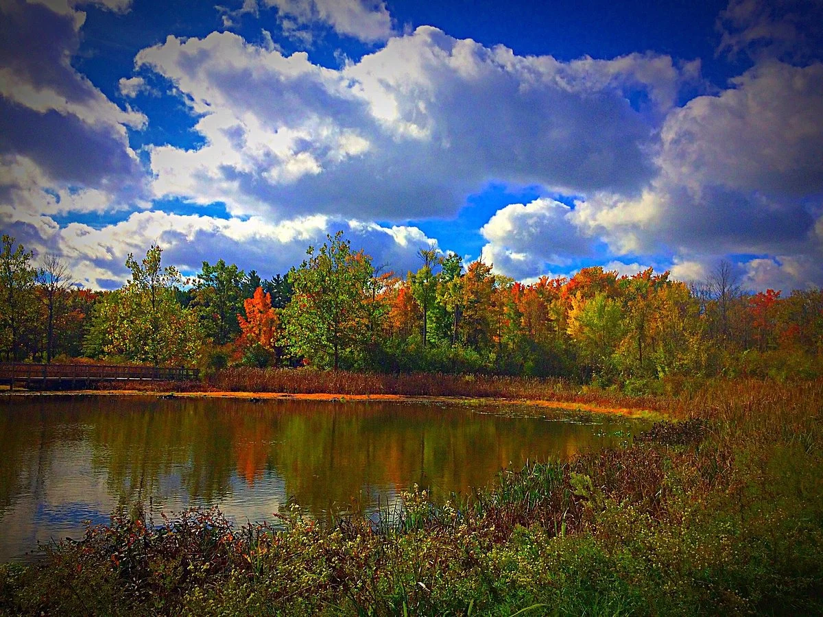 North Chagrin Reservation