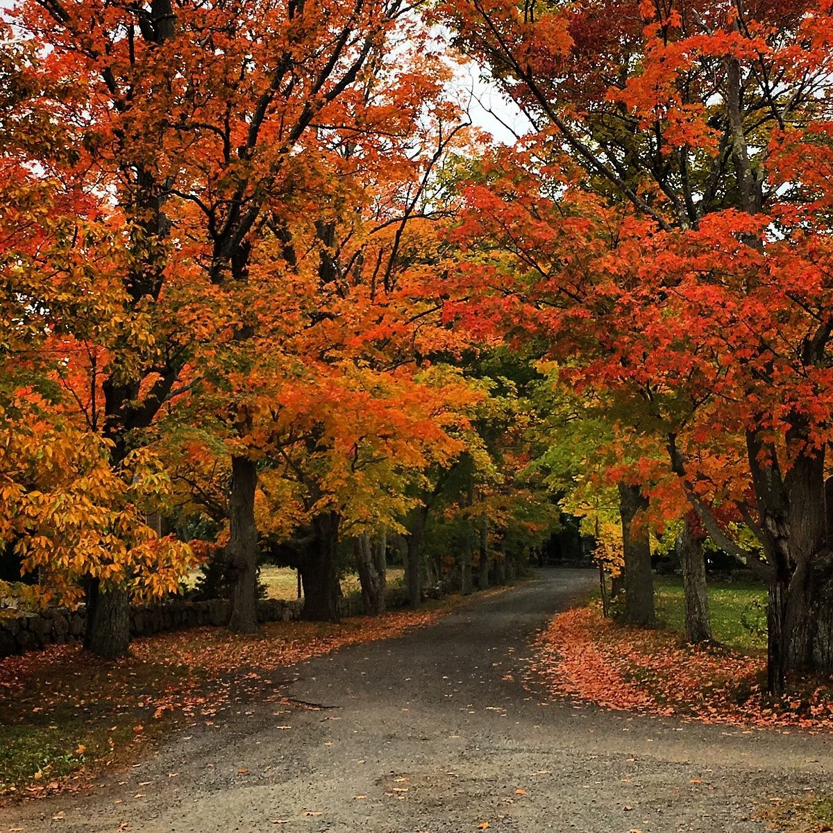 Russell Orchards